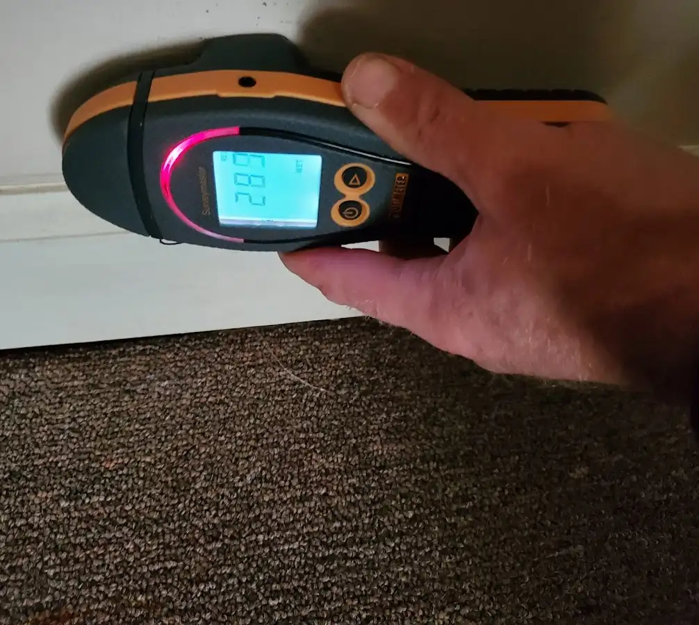 Moisture detection at baseboard during Sewage Cleanup & Sanitation in Edgewood